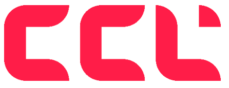 Computer Concepts Limited logo