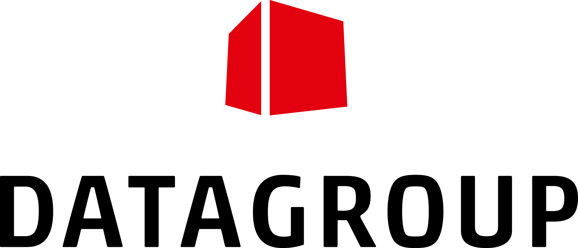 Datagroup logo