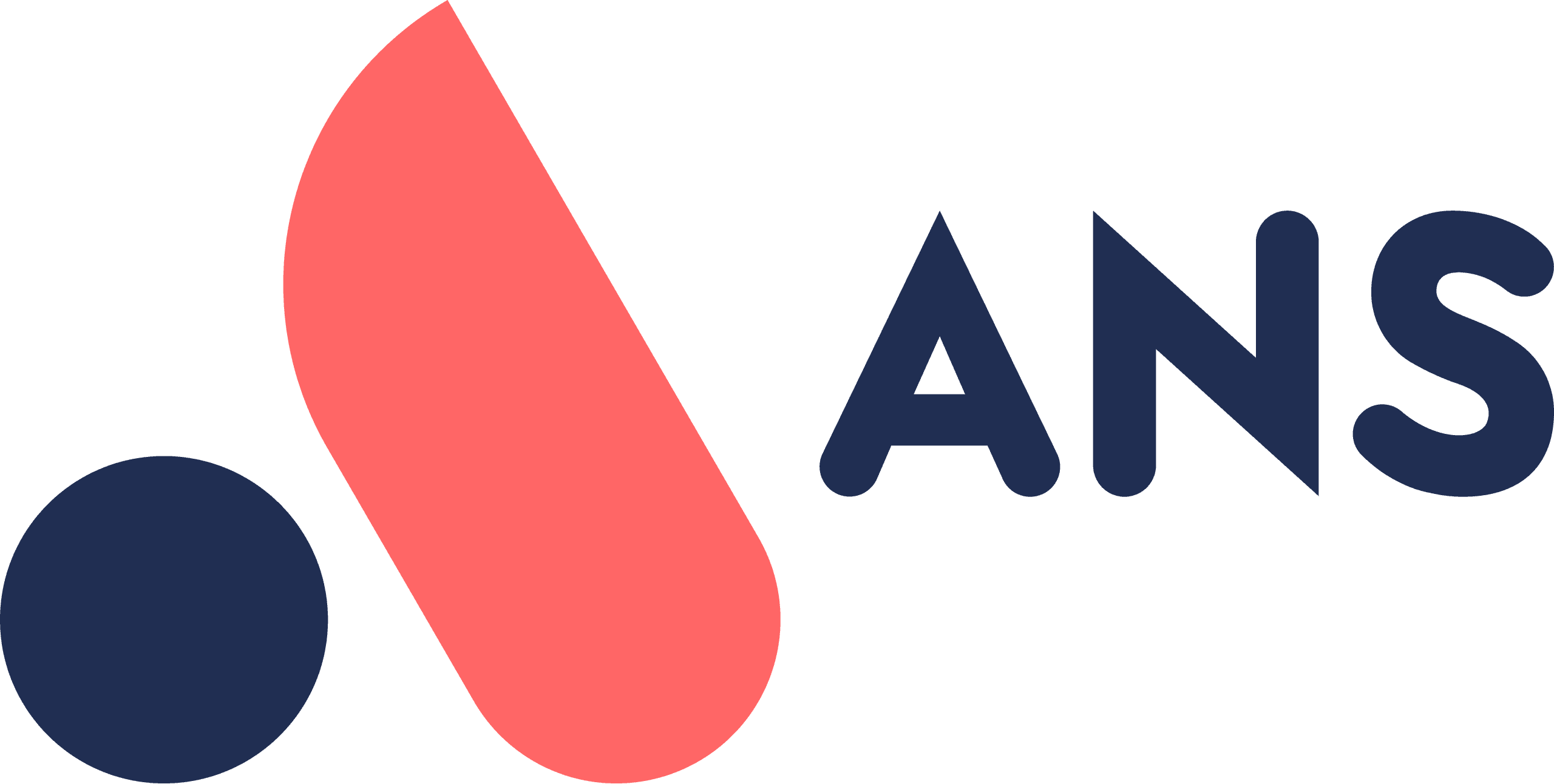 ANS Group logo